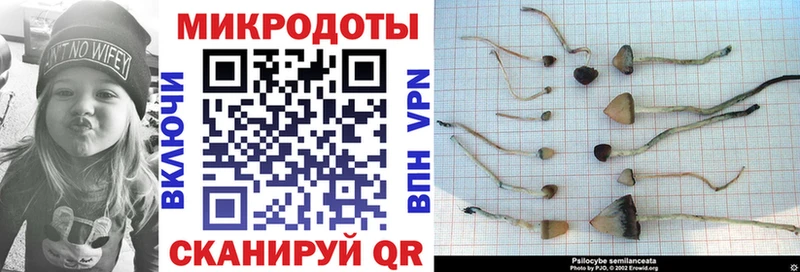 Купить где  Ильский  Галлюциногенные грибы ЛСД 